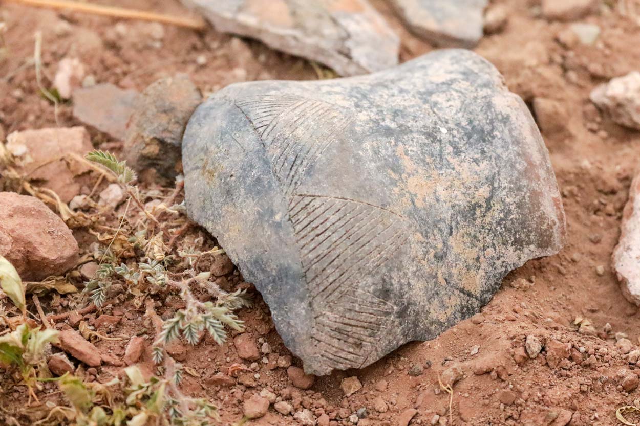 Iron-age pottery shard