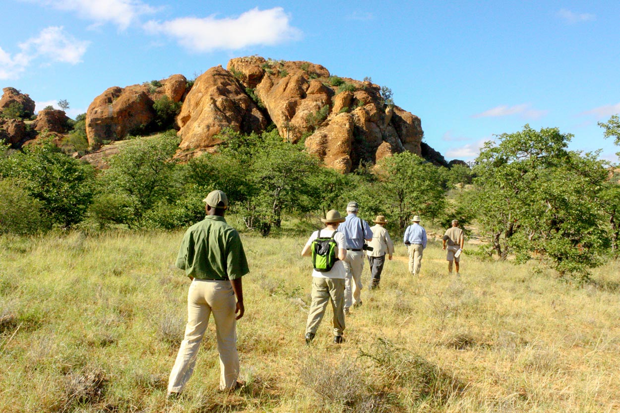 Bush walks to explore the history of the area on foot