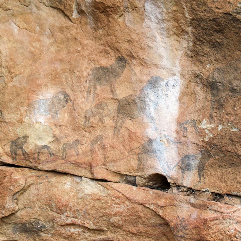 Elephant rock art shelter