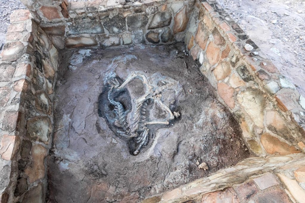 Hunting dinosaur fossils on Sentinel Eco&nbsp;Ranch